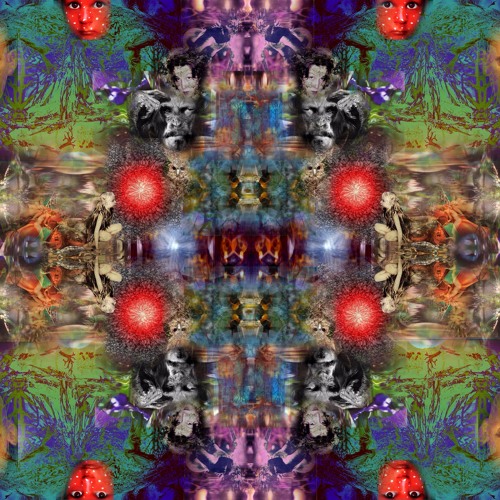 TRIPPIN' IMRE