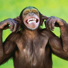 LogiK Monkey - Mixed Tape n° 1