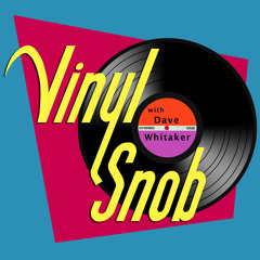 Vinyl Snob 03: Indie Record Stores & Swaps