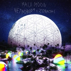 NetNobody - Maui Moon (Prod By Zonashi)