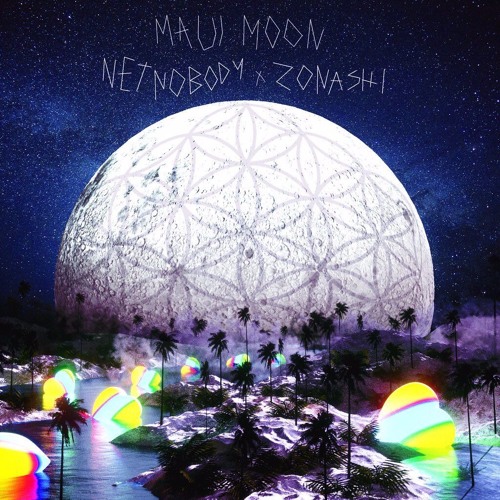 NetNobody - Maui Moon (Prod By Zonashi)