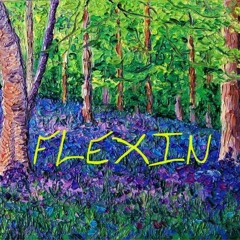 Flexin