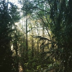Waldfunk Vol.2 - Rudegirl