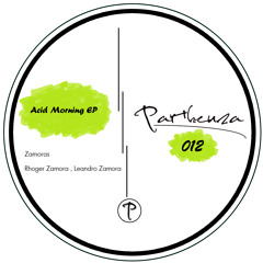 Zamoras , Rhoger Zamora , Leandro Zamora - The Sounds (Original Mix)