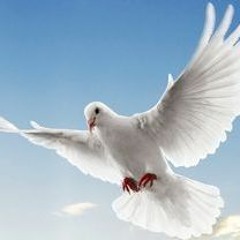 DJ VYNOUX  - ZOUK LOVE GOSPEL✝️🕊️