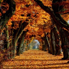 Autumn Smile