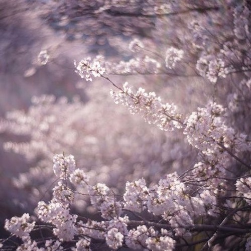 David Sylvian - Gone To Earth Instrumentals