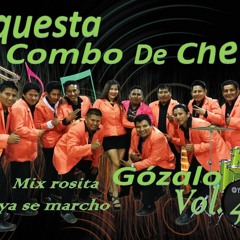 Mix Rosita - El Combo De Chelo