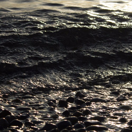 Impermanence - Featuring Emily Ravenscraft & Elan Green