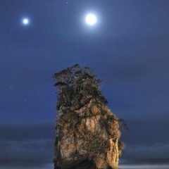 Polina Lymar - Колисанка (Спи, мій котику)