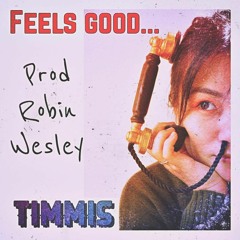 Timmis - Feels Good