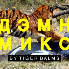 ДЭМН mixtape