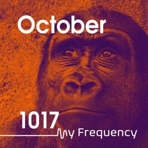 My Frequency 1017