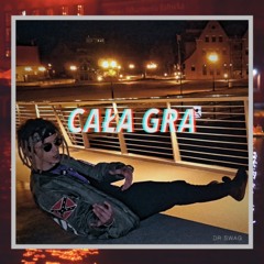 cała gra