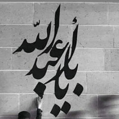 دوباره مرغ روحم هوای کربلا کرد