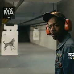 Well, why would I shoot at a human target? I mean, that's weird, right?