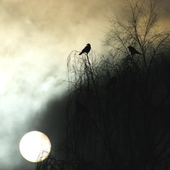 Cloudy Past (Aquiesce)