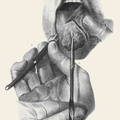 if your tongue causes you to sin cut it off