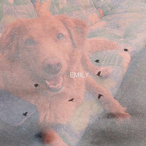 Emily