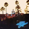 Eagles - New Kid In Town (Live At The Los Angeles Forum)