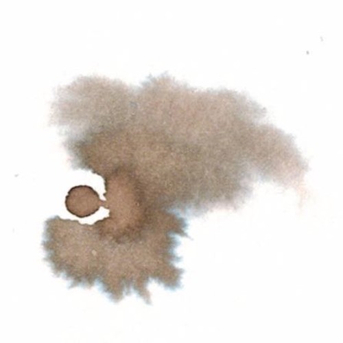 VOTZ - Langage en mouvement  de Chloé Truchon