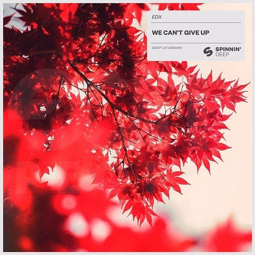EDX - We Can't Give Up