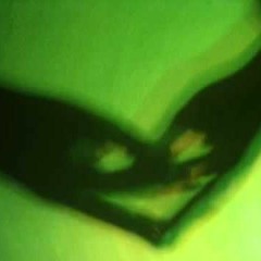 Crisantemo del Carrione - Ricorda