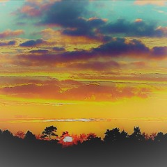 Jungle Sunrise