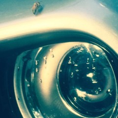 HE LIKES SHE LIKES WHITNEY MONIQUE