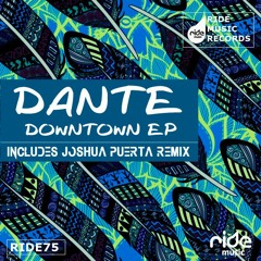 Dante - With You (Joshua Puerta Remix) played by Neverdogs