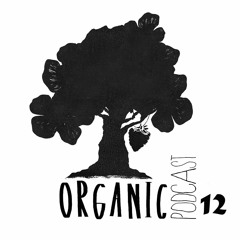ORGANIC PODCAST 012 / SERGINHO