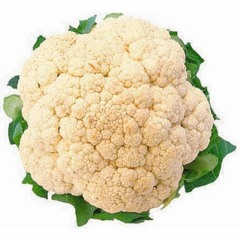 Blumenkohl prod. by thahoa