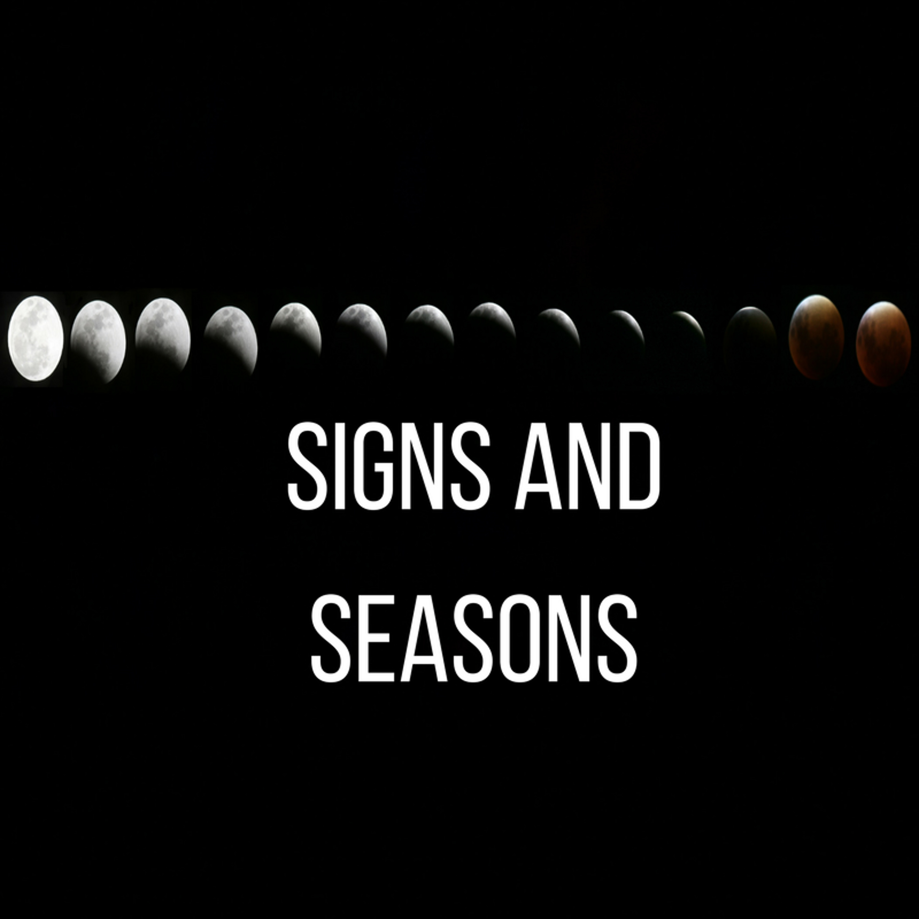 11-05-17p Sherlock Bally - Signs And Seasons episode artwork