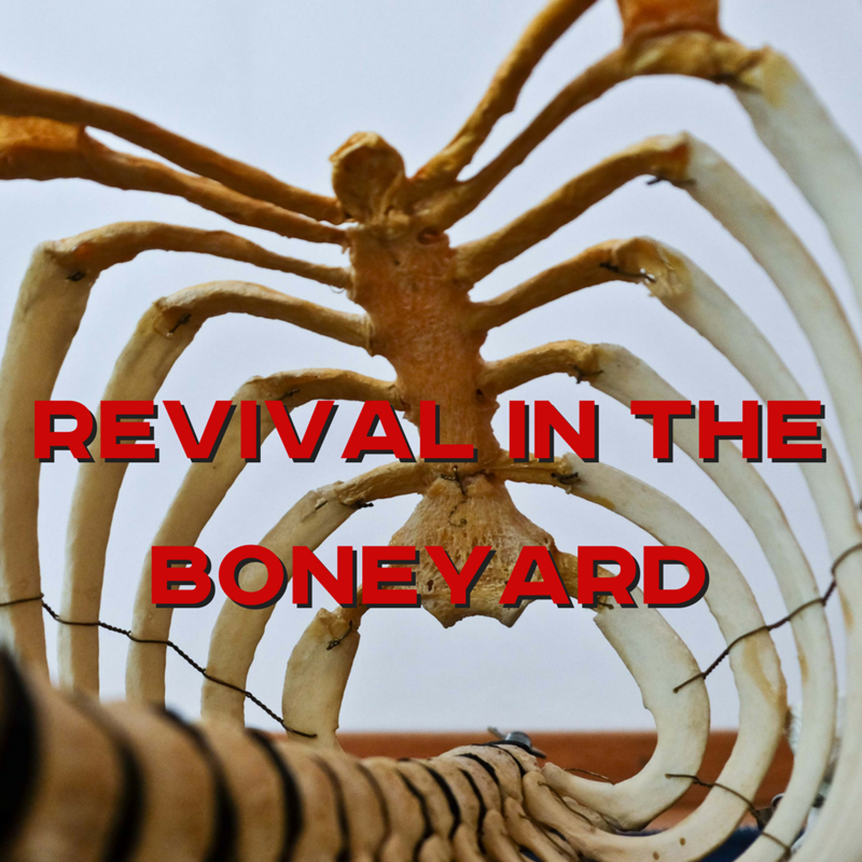 11-06-17 Sherlock Bally - Revival In The Boneyard episode artwork