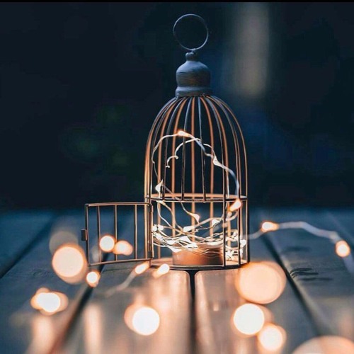 وَيَفْعَلُ اللَّهُ مَا يَشَاء | عبدالرحمن العوسي 🌸