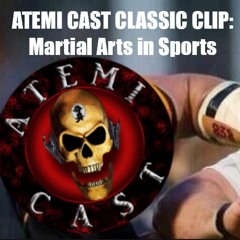 Martial Arts In Sports