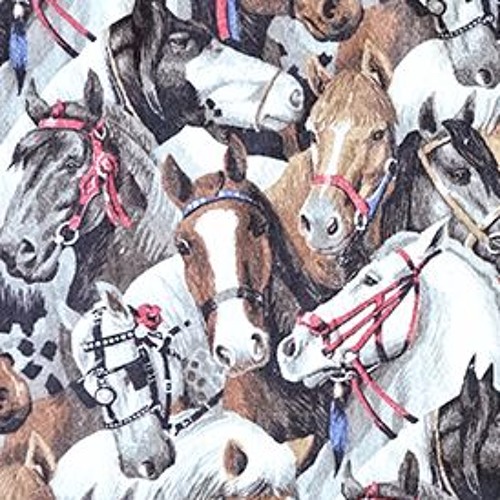 Horse Blanket