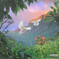 It's a Vibe ft. Mally