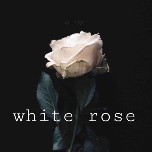 White Rose