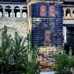 Faithful Caliph (Bedroom Demo)