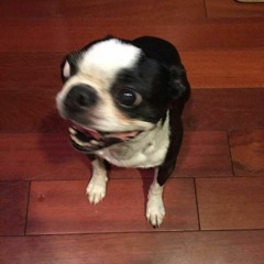 Retarded (Ft. Orpheu$ & LilVincent)