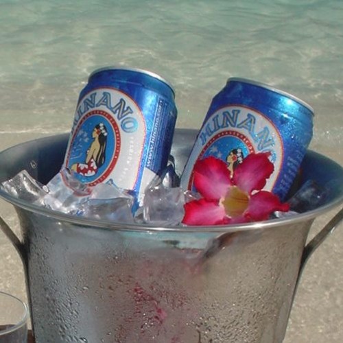 TENARI SOUND LOCAL RMX BASS