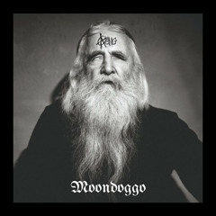 Moondoggo