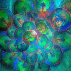 among the empty places