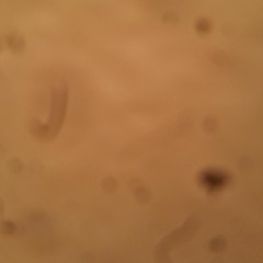 Possessed by Paul James Cover  [Crochet/ScientistMTSI Colllab]