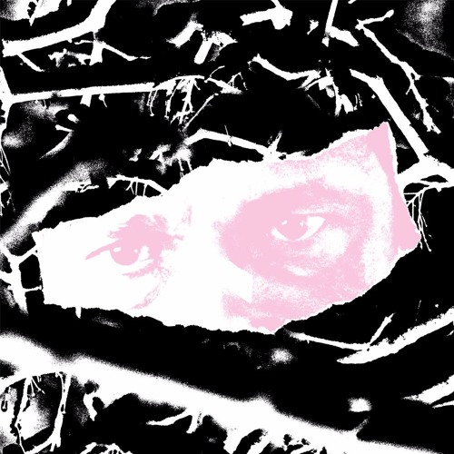 Trench Foot - BIOME - KZN004 (Clip)