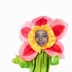 Babygesicht (Spaßlied)