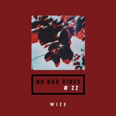 NO BAD VIBES Episode 22 w/ WIZE