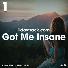 Talent Mix #82 | Nebu Mitte - Got Me Insane | 1daytrack.com