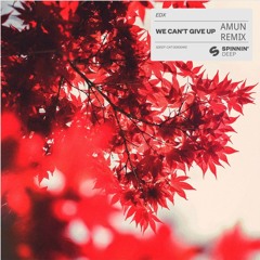 EDX - We can't give up (AMUN Remix)